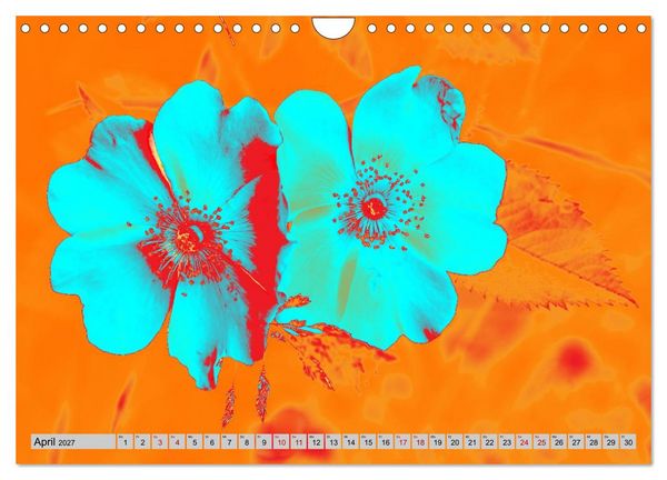 Produktbild: Blumen Pop-Art (Wandkalender 2027 DIN A4 quer), CALVENDO Monatskalender