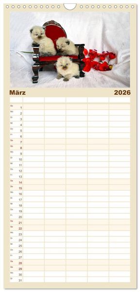 Produktbild: Familienplaner 2026 - Katzenparade mit 5 Spalten (Wandkalender, 21 x 45 cm) CALVENDO
