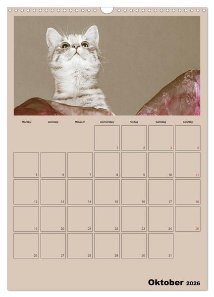 Produktbild: Mit Katzen durchs Jahr / Planer (Wandkalender 2026 DIN A3 hoch), CALVENDO Monatskalender