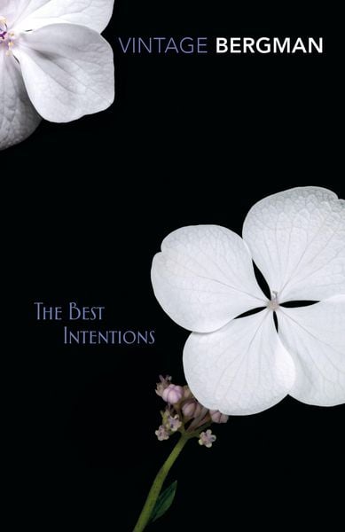 Produktbild: The Best Intentions