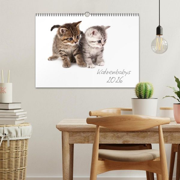 Produktbild: Katzenbabys (Wandkalender 2026 DIN A3 quer), CALVENDO Monatskalender
