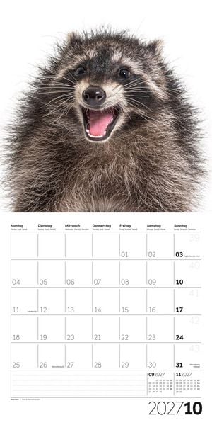 Produktbild: Animals Kalender 2027 - 30x30 - Art12