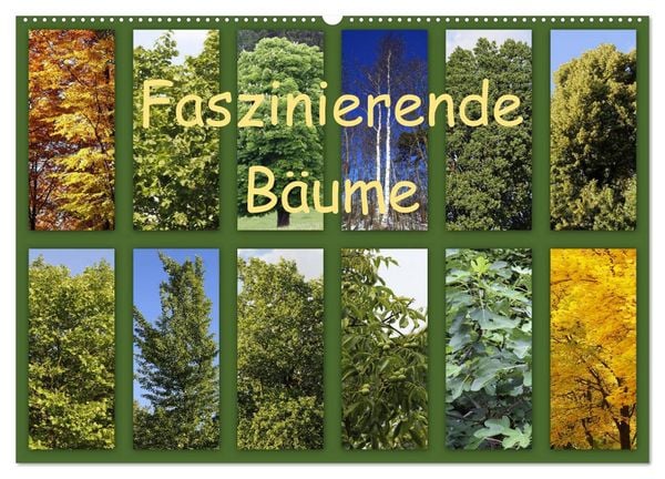 Produktbild: Faszinierende B&auml;ume (Wandkalender 2026 DIN A2 quer), CALVENDO Monatskalender