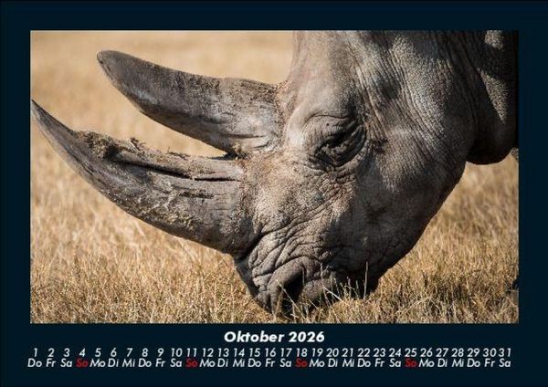 Produktbild: Der Tierkalender 2026 Fotokalender DIN A5