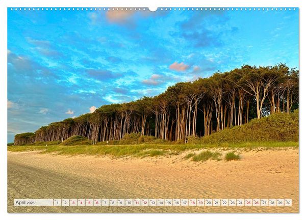 Produktbild: Fischland zwischen Ostsee und Bodden (Wandkalender 2026 DIN A2 quer), CALVENDO Monatskalender
