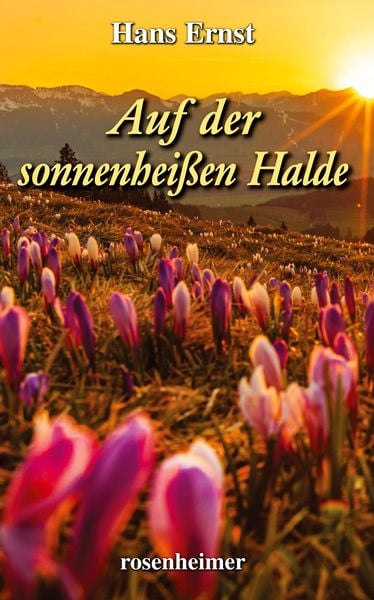 Produktbild: Auf der sonnenhei&szlig;en Halde