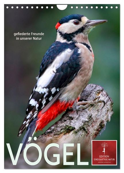 Produktbild: V&ouml;gel - gefiederte Freunde in unserer Natur (Wandkalender 2026 DIN A4 hoch), CALVENDO Monatskalender