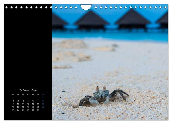 Produktbild: Malediven - dem Himmel so nah (Wandkalender 2026 DIN A4 quer), CALVENDO Monatskalender