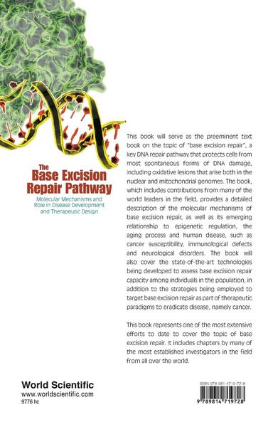 Produktbild: Base Excision Repair Pathway, The