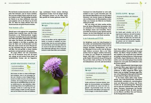 Produktbild: Geheimnisse der Unkr&auml;uter
