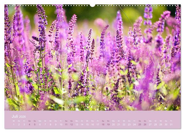 Produktbild: Farbwechsel - Die Farben der vier Jahreszeiten (hochwertiger Premium Wandkalender 2026 DIN A2 quer), Kunstdruck in Hochglanz