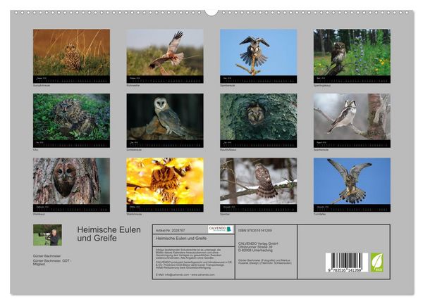 Produktbild: Heimische Eulen und Greife (hochwertiger Premium Wandkalender 2026 DIN A2 quer), Kunstdruck in Hochglanz