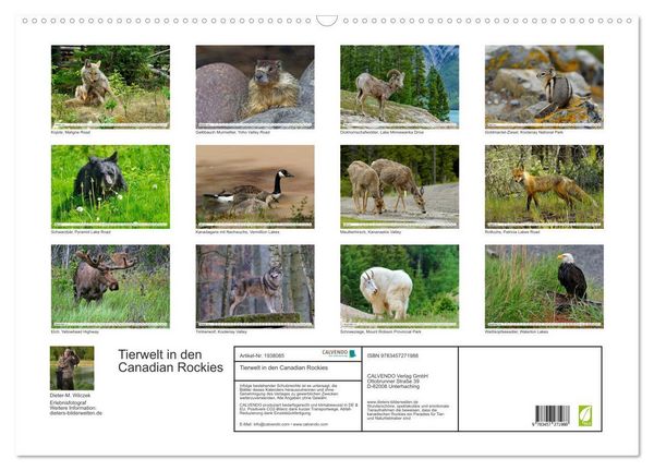Produktbild: Tierwelt in den Canadian Rockies (Wandkalender 2026 DIN A2 quer), CALVENDO Monatskalender
