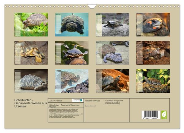 Produktbild: Schildkr&ouml;ten - Gepanzerte Wesen aus Urzeiten (Wandkalender 2026 DIN A3 quer), CALVENDO Monatskalender
