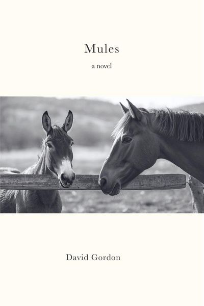 Produktbild: Mules