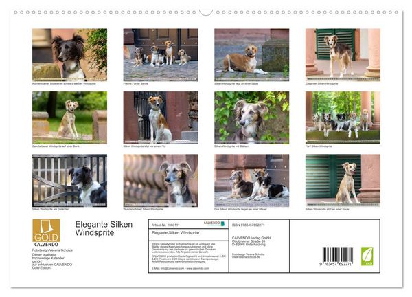 Produktbild: Elegante Silken Windsprite (hochwertiger Premium Wandkalender 2026 DIN A2 quer), Kunstdruck in Hochglanz