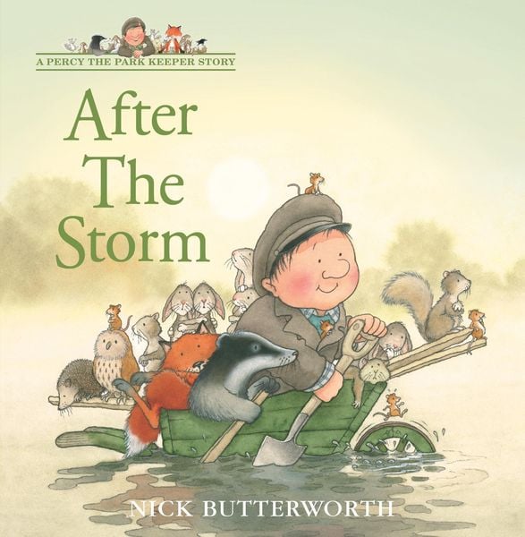 Produktbild: After the Storm