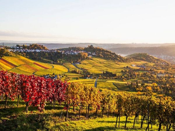 Produktbild: CALVENDO Puzzle Rotenberg mit der Grabkapelle auf dem W&uuml;rttemberg | 1000 Teile Lege-Gr&ouml;&szlig;e 64x48cm Foto-Puzzle f&uuml;r gl&uuml;ckliche Stunden