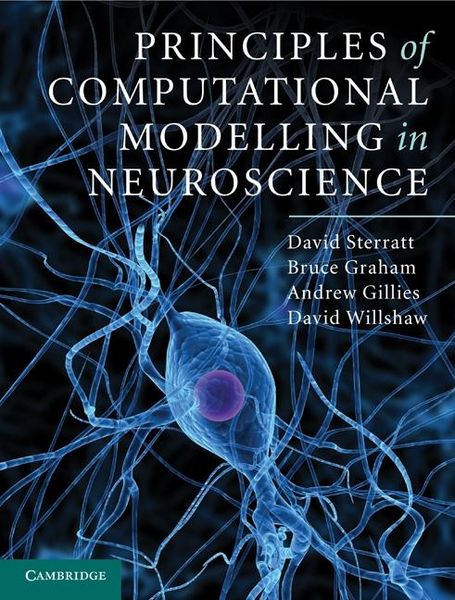Produktbild: Principles of Computational Modelling in Neuroscience