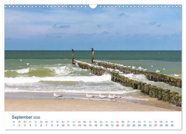 Produktbild: Sommer in Seeland (Wandkalender 2026 DIN A3 quer), CALVENDO Monatskalender