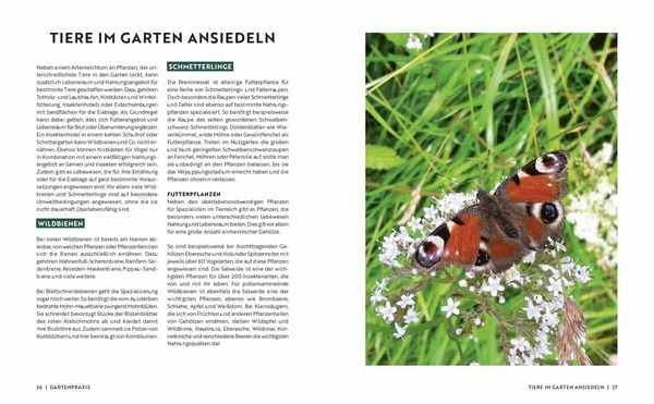 Produktbild: Gartenmomente: Naturnaher Garten