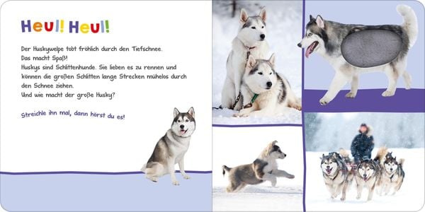 Produktbild: Hör mal rein, wer kann das sein? – Im Winter