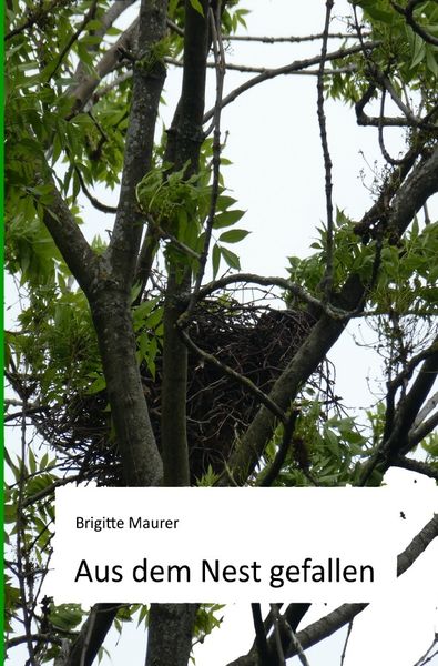 Produktbild: Aus dem Nest gefallen
