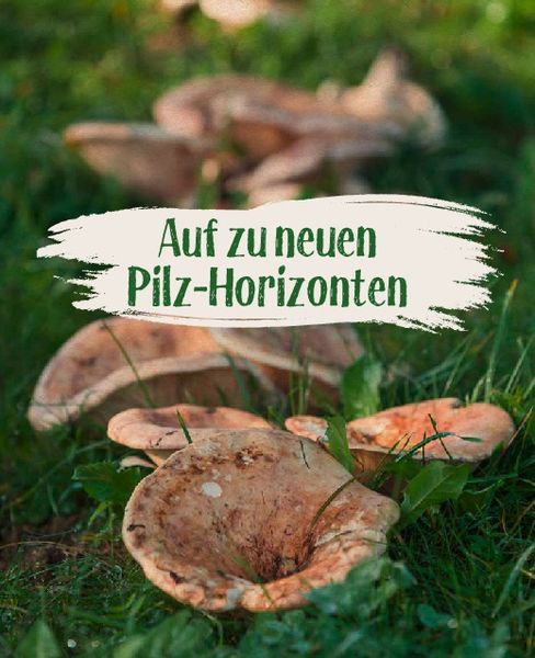 Produktbild: Essbare Sch&auml;tze aus der Natur: Erkennen &ndash; Sammeln &ndash; Zubereiten