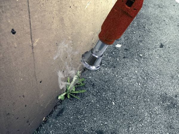 Produktbild: Rothenberger Industrial 1500002183 Abflammger&auml;t