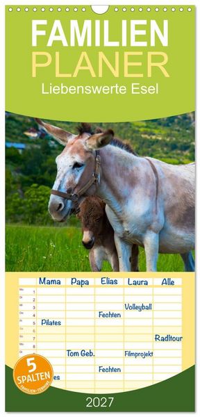 Produktbild: Familienplaner 2027 - Liebenswerte Esel mit 5 Spalten (Wandkalender, 21 x 45 cm) CALVENDO