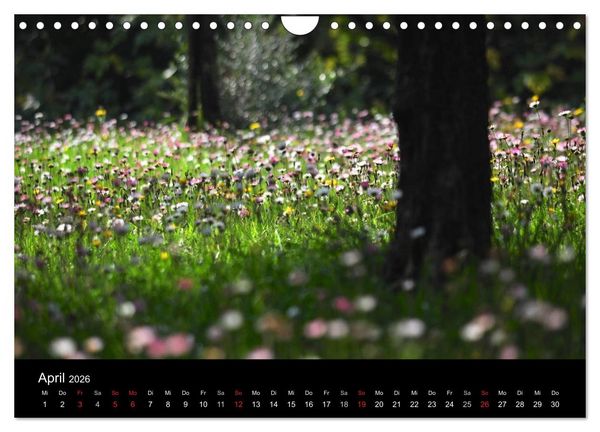 Produktbild: Provence 2026 - Stille Bilder (Wandkalender 2026 DIN A4 quer), CALVENDO Monatskalender