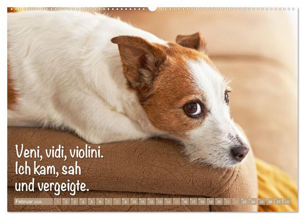 Produktbild: Jack Russell Terrier: Komm spielen (hochwertiger Premium Wandkalender 2026 DIN A2 quer), Kunstdruck in Hochglanz