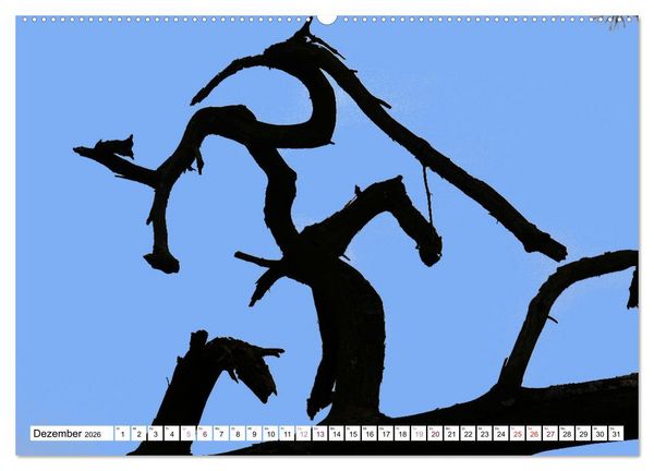Produktbild: Heidelandschaft im Farbenspiel der Natur (Wandkalender 2026 DIN A2 quer), CALVENDO Monatskalender