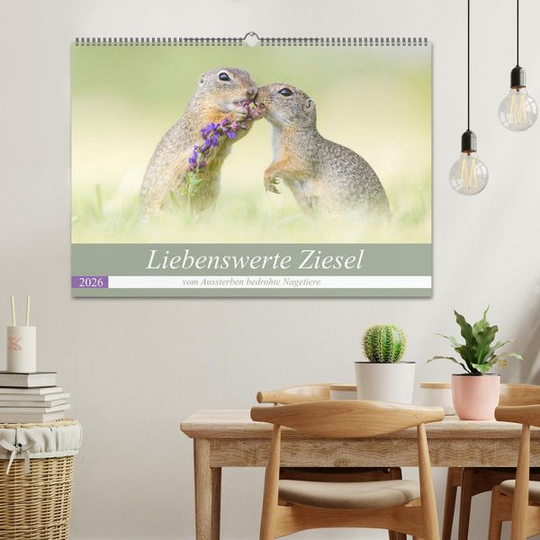 Produktbild: Liebenswerte Ziesel - vom Aussterben bedrohte Nagetiere (Wandkalender 2026 DIN A2 quer), CALVENDO Monatskalender