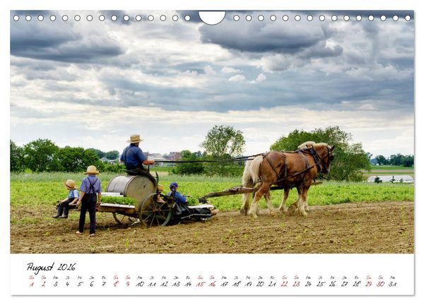 Produktbild: USA Ostk&uuml;ste Ein Road Trip (Wandkalender 2026 DIN A4 quer), CALVENDO Monatskalender