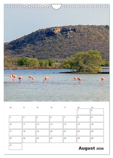 Produktbild: Curacao - Terminplaner (Wandkalender 2026 DIN A4 hoch), CALVENDO Monatskalender