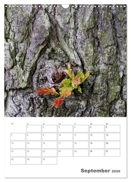 Produktbild: Planen mit dem Symbol der inneren St&auml;rke (Wandkalender 2026 DIN A3 hoch), CALVENDO Monatskalender
