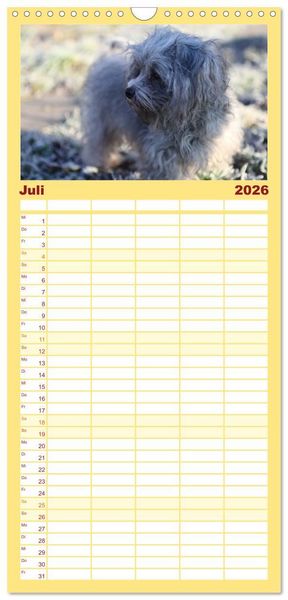 Produktbild: Familienplaner 2026 - Bolonka Zwetna mit 5 Spalten (Wandkalender, 21 x 45 cm) CALVENDO