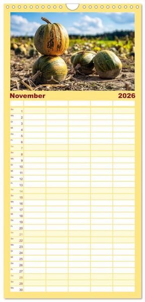 Produktbild: Familienplaner 2026 - K&Uuml;RBIS KALENDER - Die sch&ouml;nsten K&uuml;rbisse des Jahres mit 5 Spalten (Wandkalender, 21 x 45 cm) CALVENDO