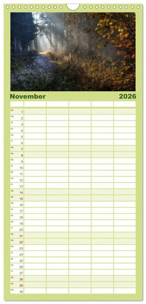 Produktbild: Familienplaner 2026 - Waldkalender mit 5 Spalten (Wandkalender, 21 x 45 cm) CALVENDO