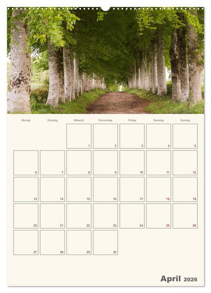 Produktbild: Sommertage in der Bretagne (Wandkalender 2026 DIN A2 hoch), CALVENDO Monatskalender