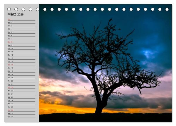 Produktbild: Magische B&auml;ume (Tischkalender 2026 DIN A5 quer), CALVENDO Monatskalender