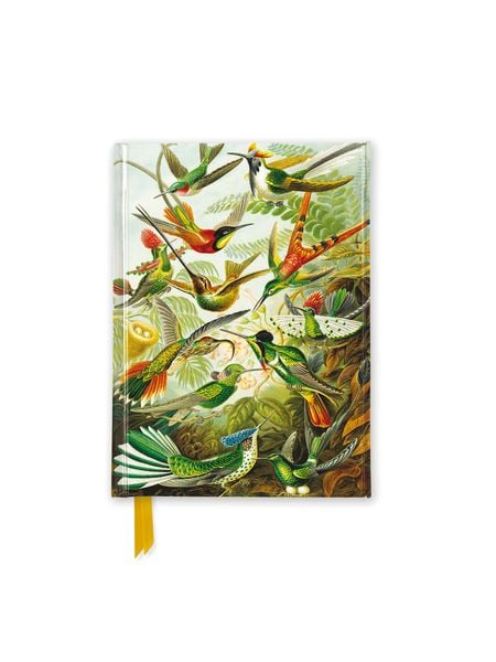Produktbild: Premium Notizbuch DIN A6: Ernst Haeckel, Kolibris
