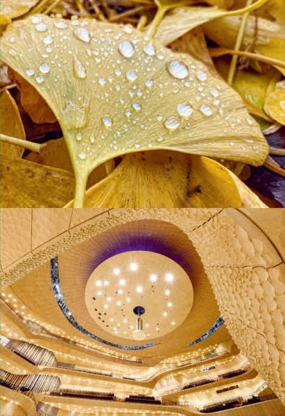 Produktbild: Licht, Natur, Architektur