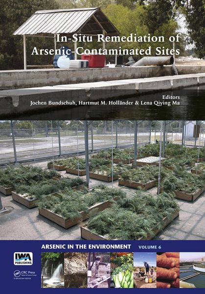 Produktbild: In-Situ Remediation of Arsenic-Contaminated Sites