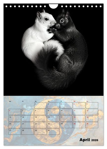 Produktbild: Sei das Yin zu meinem Yang (Wandkalender 2026 DIN A4 hoch), CALVENDO Monatskalender