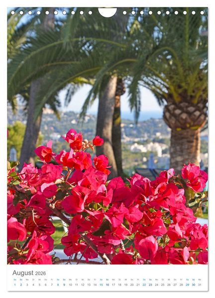 Produktbild: Mallorca - Mediterranes Lebensgef&uuml;hl zum Tr&auml;umen (Wandkalender 2026 DIN A4 hoch), CALVENDO Monatskalender