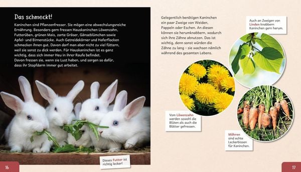 Produktbild: Meine gro&szlig;e Tierbibliothek: Das Kaninchen