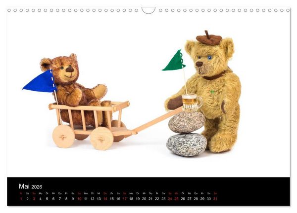 Produktbild: Martin B&auml;ren aus Sonneberg (Wandkalender 2026 DIN A3 quer), CALVENDO Monatskalender