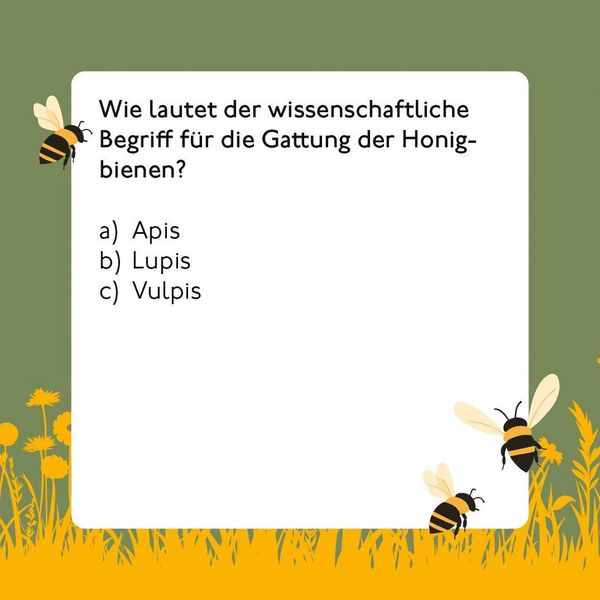 Produktbild: Bienen-Quiz